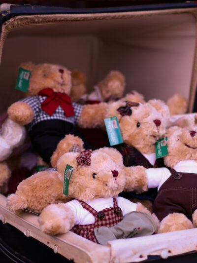 Coffret cadeau bébé pour les déplacements, avec un nid d'ange personnalisé et un doudou personnalisé. Un cadeau de naissance unique